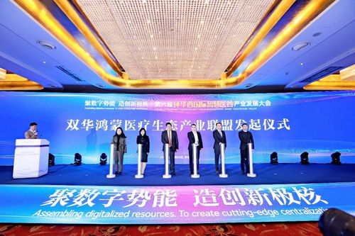 聚數(shù)字勢能 造創(chuàng)新極核 ——第六屆環(huán)華西國際智慧醫(yī)谷產(chǎn)業(yè)發(fā)展大會(huì)成功舉辦